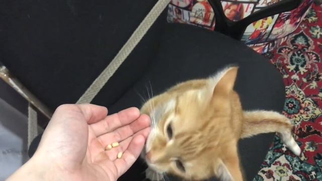 Игровое кресло "бюрократ" обзор смотреть онлайн