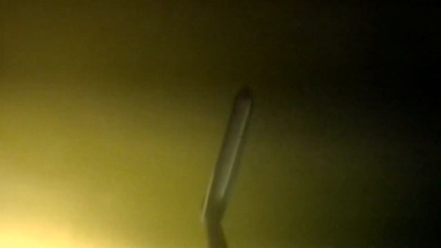 Рыбы много, а ловить нельзя! смотреть онлайн