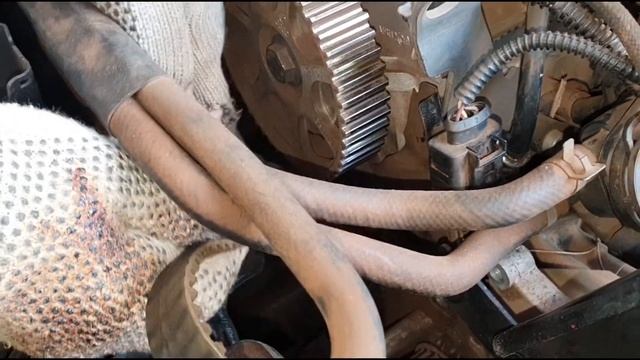 Volkswagen Bora 2.0: Cambiar correa de DISTRIBUCIÓN, además cambio bomba de agua y correa POLY-V . смотреть онлайн