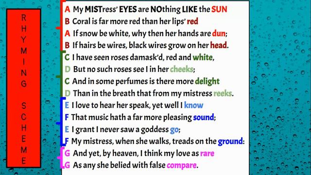 Sonnets смотреть онлайн