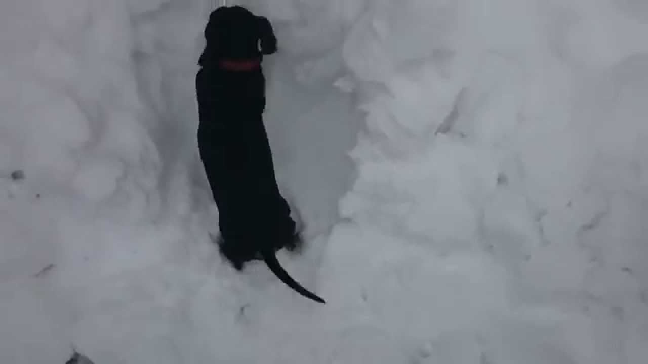 Глория смотреть онлайн