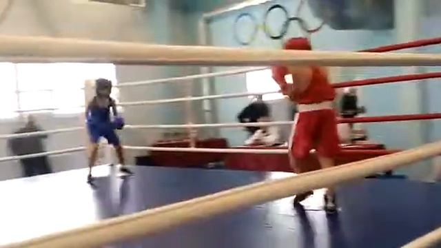 Турнир по боксу с. Песчанокопское Рост. Обл.(1) смотреть онлайн