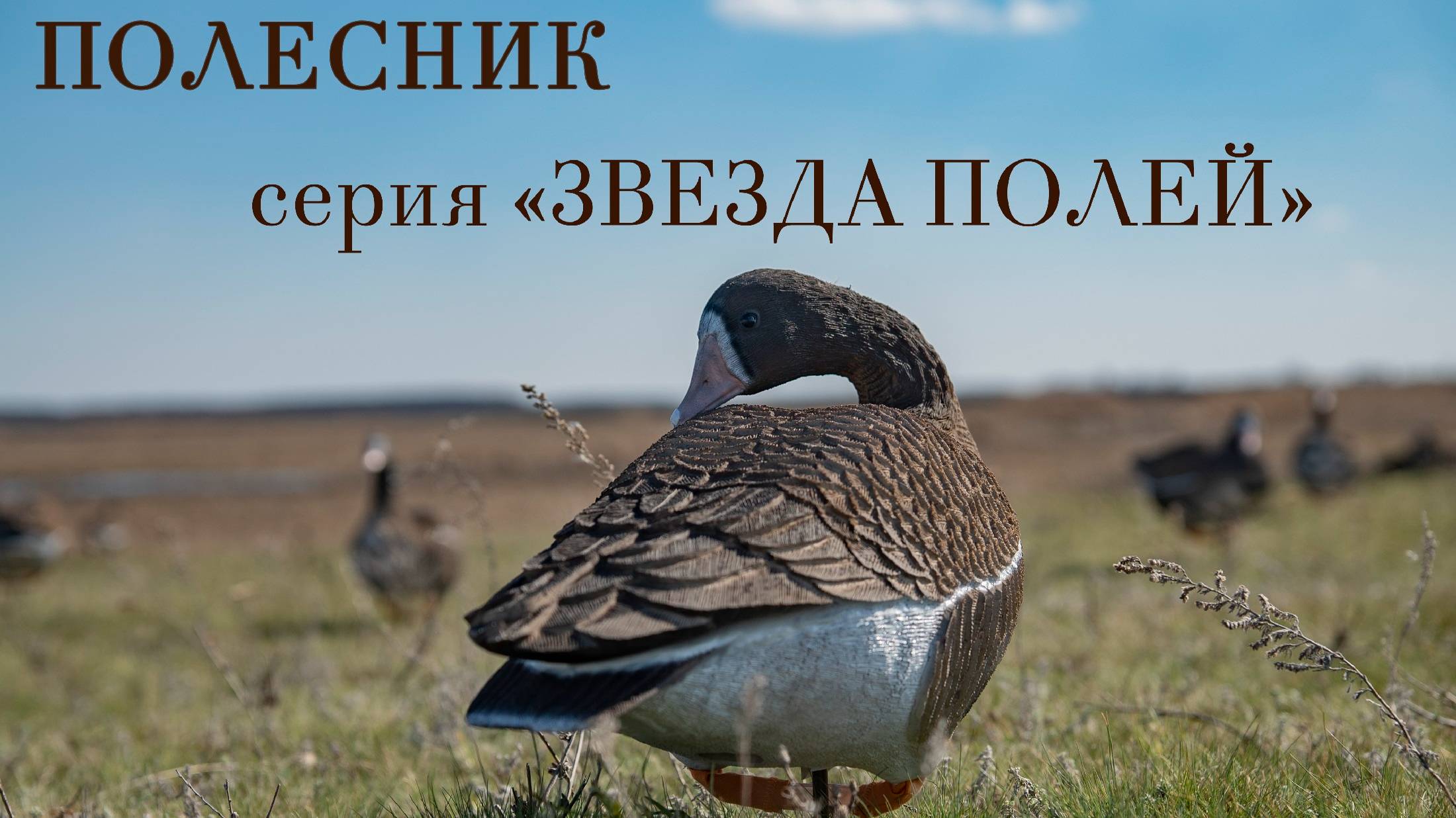 Полесник чучела для охоты на гуся. Серия Звезда Полей
