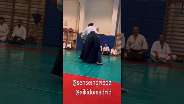 @aikidomadrid muy buena secuencia y explicación смотреть онлайн