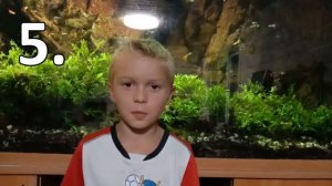 Стихотворение про Полную Функцию Управления | Учимся Управлять!