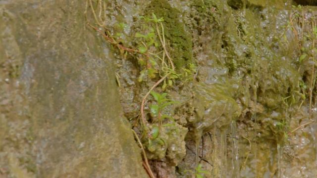 ТОП 1? - САМЫЙ МИСТИЧЕСКИЙ ИСКУССТВЕННЫЙ ВОДОПАД В УКРАИНЕ КОТОРЫЙ ВАМ ТОЧНО СТОИТ ПОСЕТИТЬ! ?? смотреть онлайн