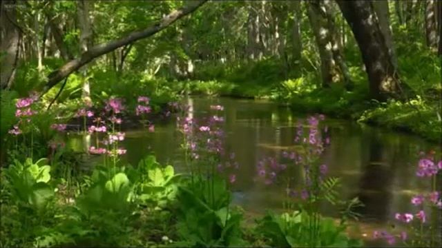 Когда я просто на тебя смотрю...» Эльдар Рязанов смотреть онлайн