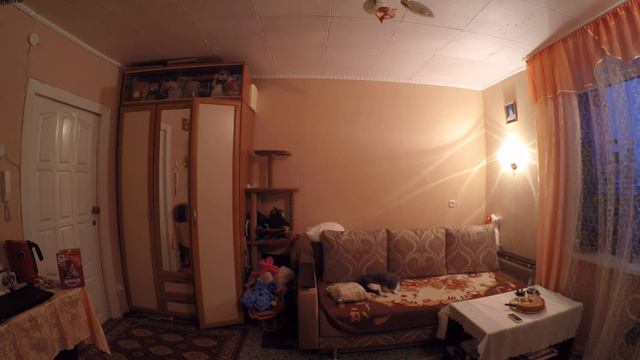 Что делает кот, когда никого нет дома смотреть онлайн