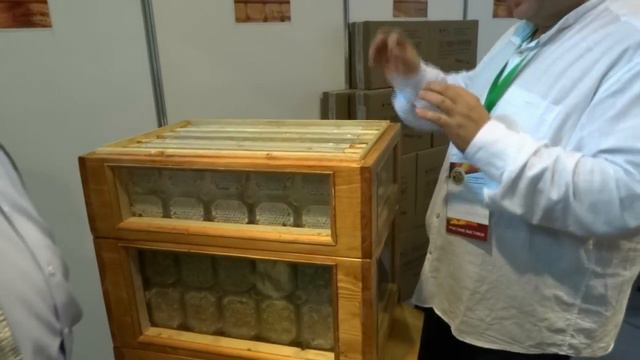 МЕЖДУНАРОДНЫЙ КОНГРЕСС ПЧЕЛОВОДОВ АПИСЛАВИЯ. КОНГРЕСС АПИСЛАВИИ В МОСКВЕ. смотреть онлайн