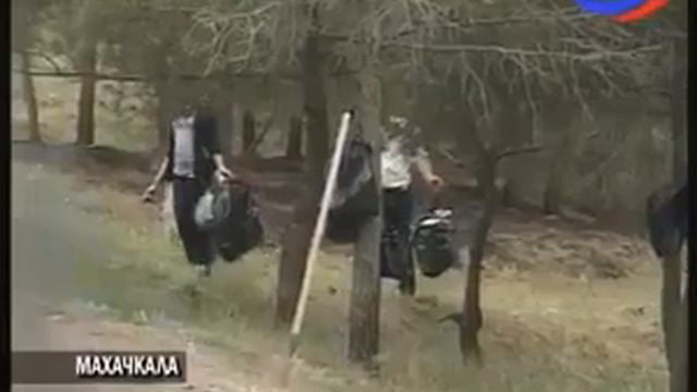 В Дагестане на базе движения "Народный фронт" создадут рабочую группу по защите леса смотреть онлайн