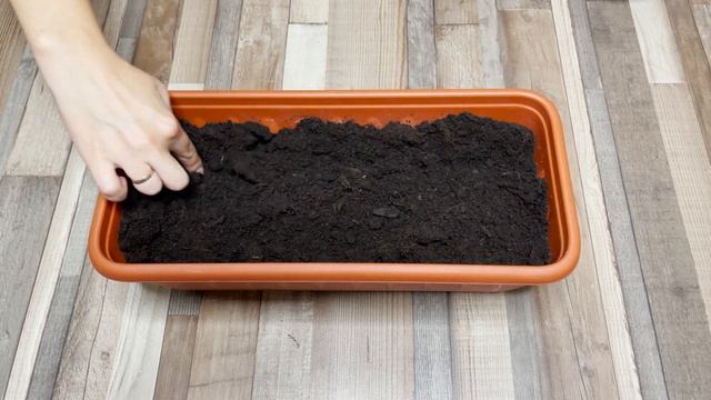 Йога для Гибкости и Силы