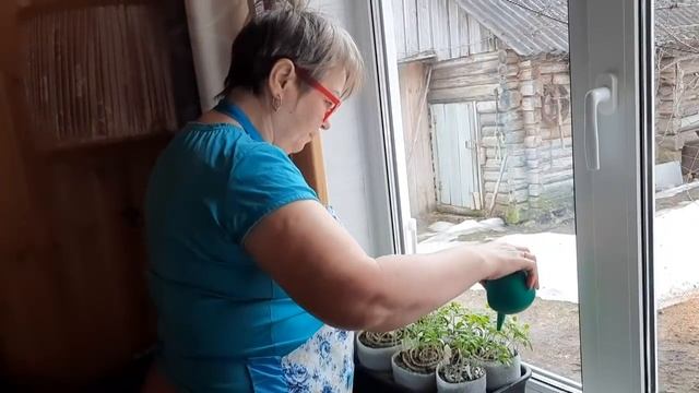 ЧЕМ ЗАНИМАЛИСЬ В ВЫХОДНЫЕ.ПОЛИВАЛИ РАССАДУ,ПЕКЛИ РОГАЛИКИ,ДЕЛАЛИ САЛАТ С "КРАБАМИ". смотреть онлайн