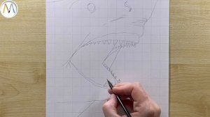 Как нарисовать АКУЛУ / Shark drawing