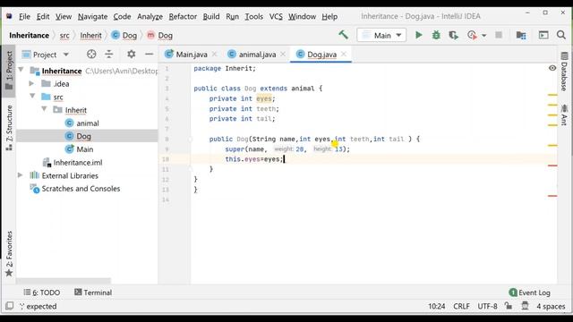 Tutorial 29: Inheritance смотреть онлайн