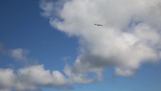 Заказник Полуйский смотреть онлайн