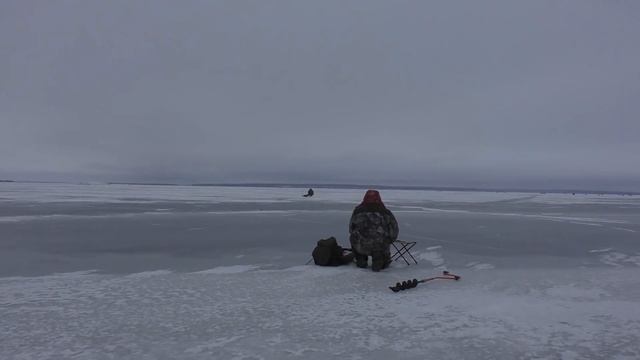 Бершовая лихорадка смотреть онлайн