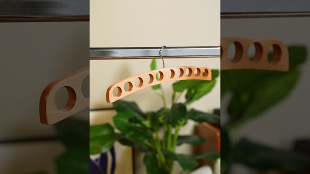 Veshalkin_Promo_video