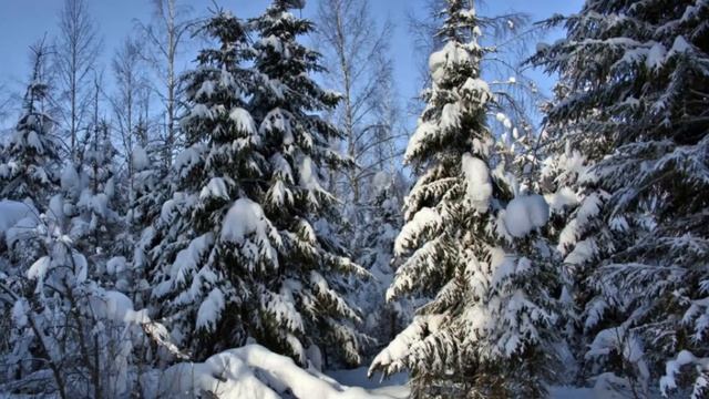 Зимний лес смотреть онлайн