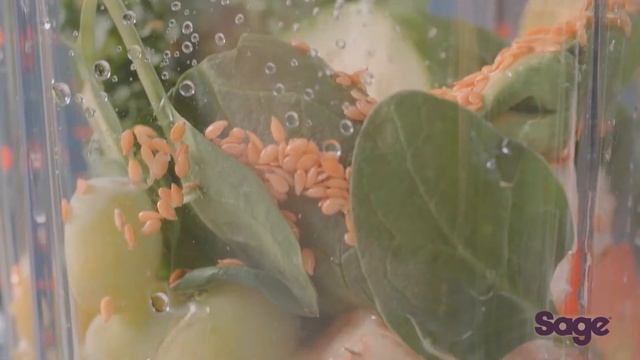 SAGE The Boss / videorecept na zelené smoothie смотреть онлайн
