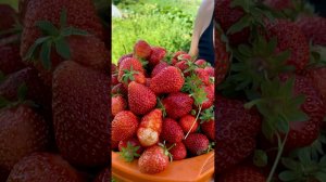 Друзья, всем привет!