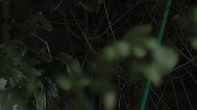 Panasonic HDC SD 200 Test смотреть онлайн