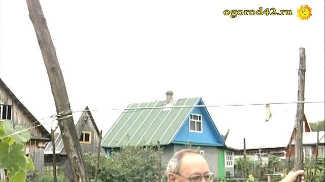 Одноплоскостная шпалера смотреть онлайн