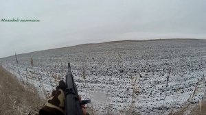 Охота на зайца! И опять Сайга 20-го калибра!