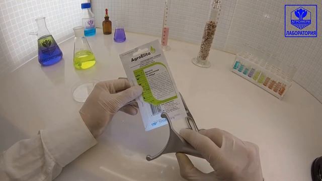 Капуста белокочанная Ринда. АгроЭлита смотреть онлайн