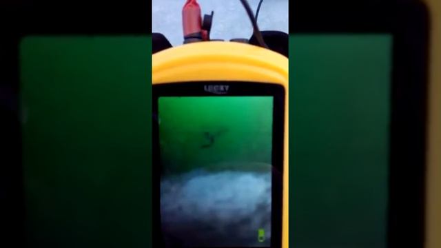 Подводная камера смотреть онлайн