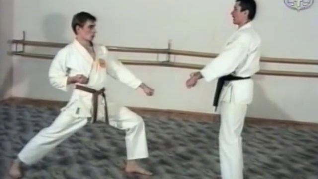 Тигр и восходящее солнце шотокана. Часть 32 смотреть онлайн