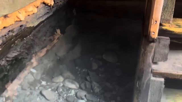 Ловим горбушу! Повезло так повезло !