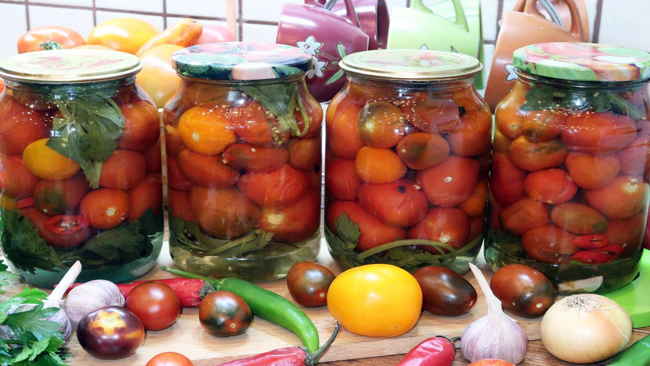 Маринованные помидоры с сельдереем. Как вкусно мариновать помидоры смотреть онлайн