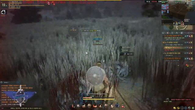 BkackDesert - ОБТ Корея