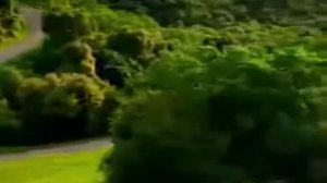 Видео - Реклама энергетика Kfee