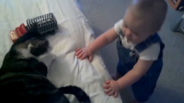 Git dat cat смотреть онлайн