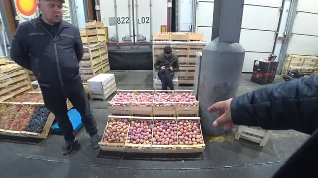Ремонтные Факторы