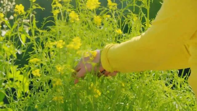 Gardeners' World -2023 -Episode 108 The First Shoots Of The Onion Gardening With Carol Klein