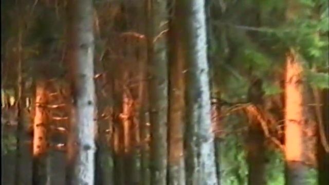 7я Лёша 1997 Часть 6-я, шашлычная