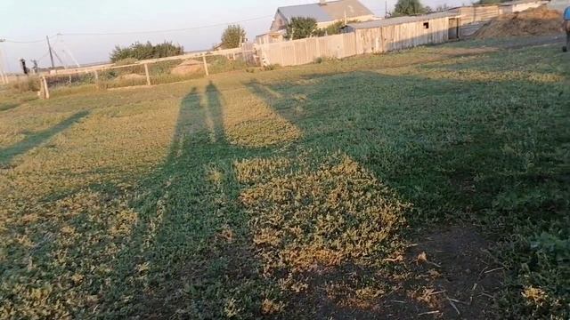 Наша поездка в Саратовскую область. Август 2022 смотреть онлайн