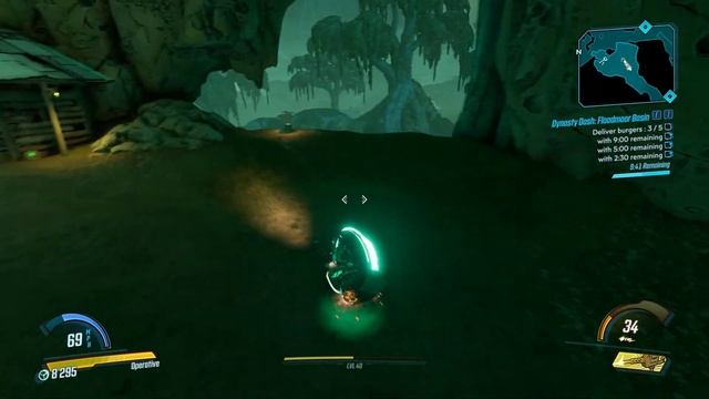 Dynasty Dash: Floodmoor Basin Borderlands 3 (with 9:00 minutes remaining) смотреть онлайн