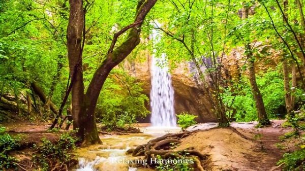 HANDPAN 3 hours music for RELAXATION | Pelalex HANDPAN Music For Meditation | HANG YOGA Music