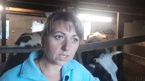 #АЙРШИРСКАЯ КОРОВА, МИФ ИЛИ ПРАВДА.#