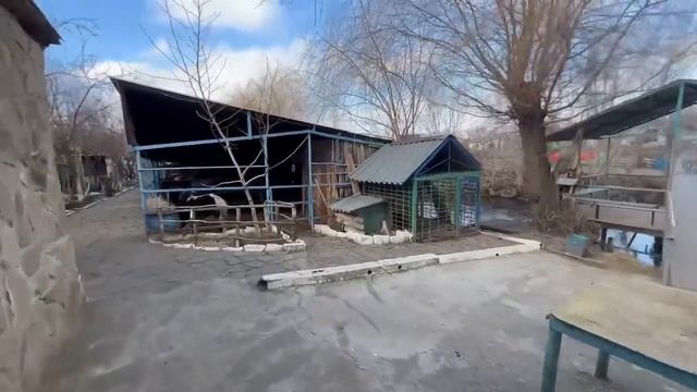 Олег Зубков в Донбассе! Мы увозим в Тайган животных которым срочно НУЖНА ВЕТПОМОЩЬ! смотреть онлайн