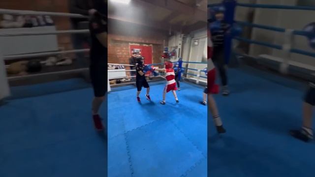 Бокс Дети #муса #monarch #boxing #holl #спб Муса 10 лет (красный) смотреть онлайн