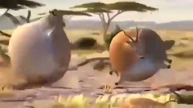 если бы все животные были бы толстые 2 смотреть онлайн