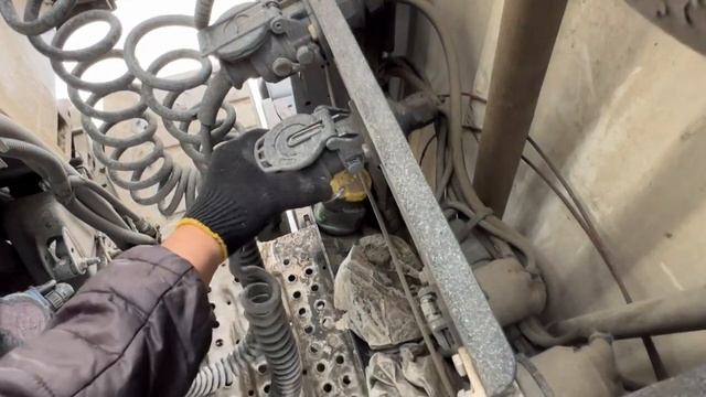 Владивосток встречает хорошей погодой!!! Что Буля захворал!!! смотреть онлайн