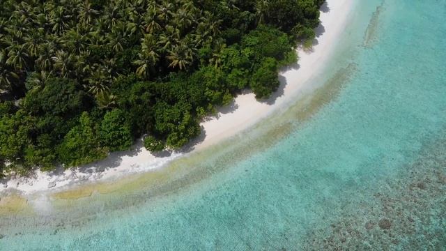 МАЛЬДИВЫ: 5* DUSIT THANI и манты в Ханифару Бэй смотреть онлайн