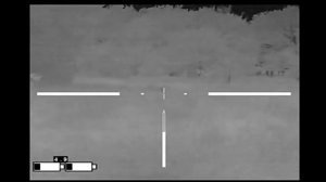 Охота на кабанов ночью