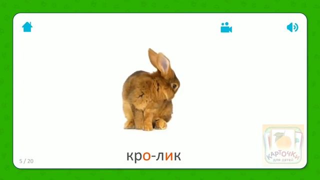 Кролик - Карточки Для Детей - Домашние Животные - Карточки Домана смотреть онлайн