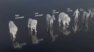 Animal Size Comparison 🦁 3D